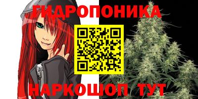прущие крисы Новоалтайск
