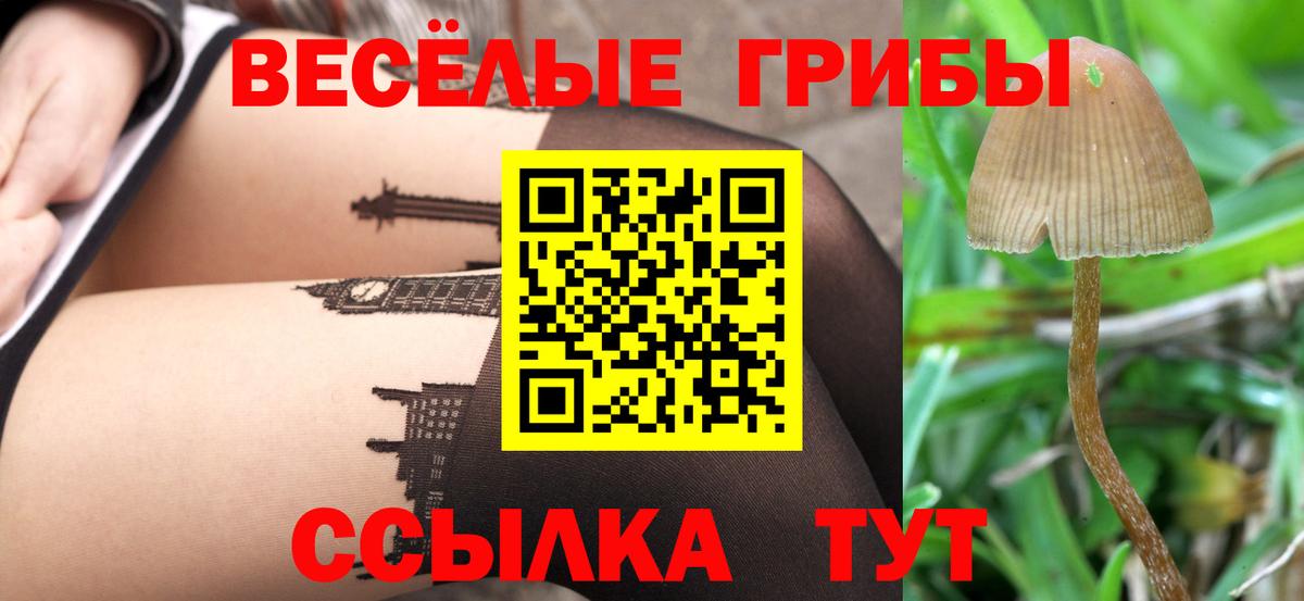 Галлюциногенные грибы Psilocybe  Вход с VPN  Псилоцибиновые грибы Psilocybine cubensis  Ефремов 